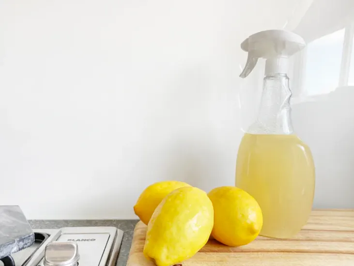 10 Best Cleaning Chores for Homeowners to Try, What are the top 10 chores?, What cleaning chores should be done daily?, What is a professional house cleaning checklist?, What are some good chores to do around the house?, What are some good chores to do around the house?, What should I clean every day?, What should you clean every month?
