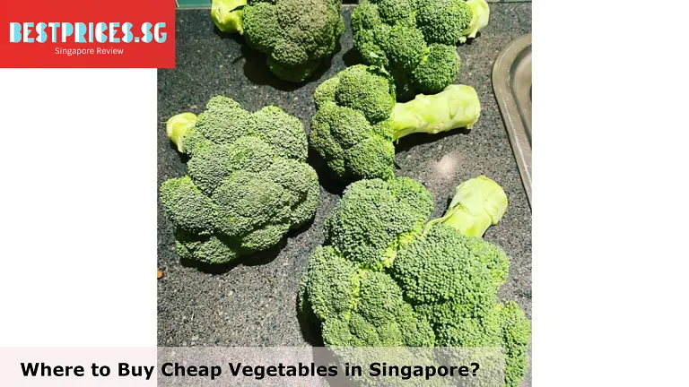 Broccoli - Cheap Vegetables Singapore, Cheap Vegetables in Singapore, Where to Buy Cheap Vegetables in Singapore, What is the cheapest vegetable to buy?, How much are vegetables in Singapore?, What veggies are cheap right now in Singapore?, How can I get vegetables cheaper in Singapore?, What is the cheapest way to buy vegetables?, Are wet markets cheaper in Singapore?, How do you buy fruits and vegetables on a budget?, Wet Markets Singapore, singapore vegetable price list, where to buy cheap fruits in singapore, wholesale market singapore, wholesale vegetables delivery singapore, cheapest wet market in singapore, fresh vegetables online singapore, list of wet markets in singapore, singapore vegetable market,