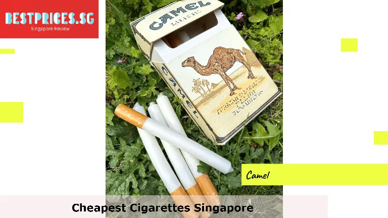 Cheapest Cigarettes Singapore, What is the cheapest cigarettes to buy?, Where is the cheapest pack of cigarettes?, How much is 1 pack of cigarettes Singapore?, How much is the cheapest pack of cigs?, Singapore Cigarettes Retail Prices, Cigarettes & smoking in Singapore,
cheapest cigarettes brand in singapore, Cheapest cigarettes singapore for sale, 7-eleven singapore cigarettes price, viceroy cigarettes singapore price, singapore cigarettes list,