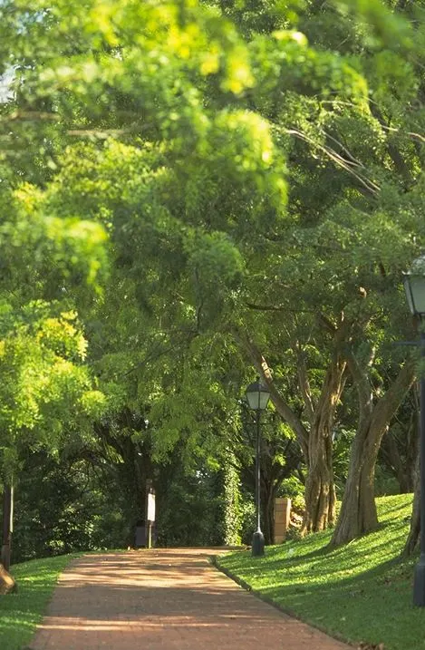 Fort Canning Park. Your essential guide to the best parks in Singapore, best nature parks in singapore, singapore parks and gardens, parks in singapore for walking, new parks in singapore, nature park near me, number of parks in singapore, biggest park in singapore, What is unique about Fort Canning Park?, Is Fort Canning free?, What happened at Fort Canning Park?, How long is Fort Canning Trail?, 