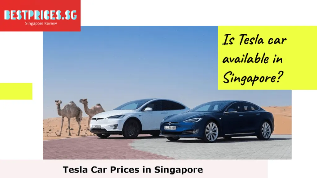 Is Tesla car available in Singapore? - Tesla Car Price Singapore, Tesla Car Price Singapore, How much is the cheapest Tesla?, Are Tesla cars available in Singapore?, How much does it cost to charge a Tesla in Singapore?, What is new Tesla car price?, much will cost buy Tesla Model 3 Singapore, tesla model Y review Singapore Price, tesla car price singapore with coe, where to buy tesla car in singapore, why is tesla so expensive in singapore, tesla model 3 singapore price, where to charge tesla in singapore, tesla coe price, tesla model y singapore price, tesla model 3 road tax singapore, Can I buy Tesla in Singapore?, Is Tesla selling in Singapore?, Can you buy Tesla directly?,