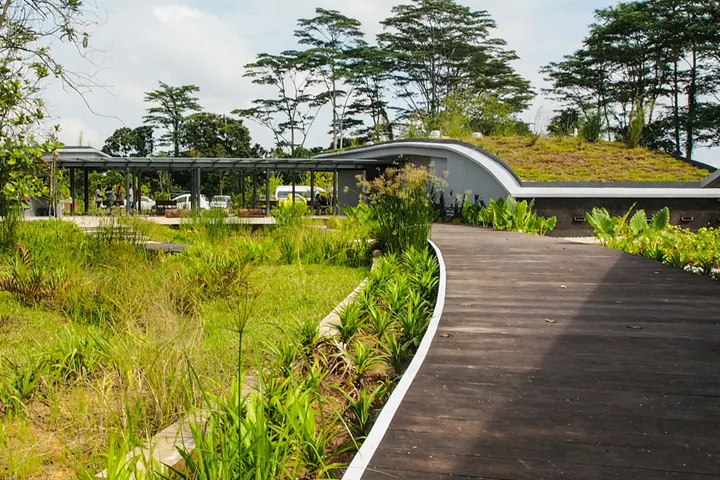 Kranji Marshes is 10 Best Singapore Parks and Natural Spaces