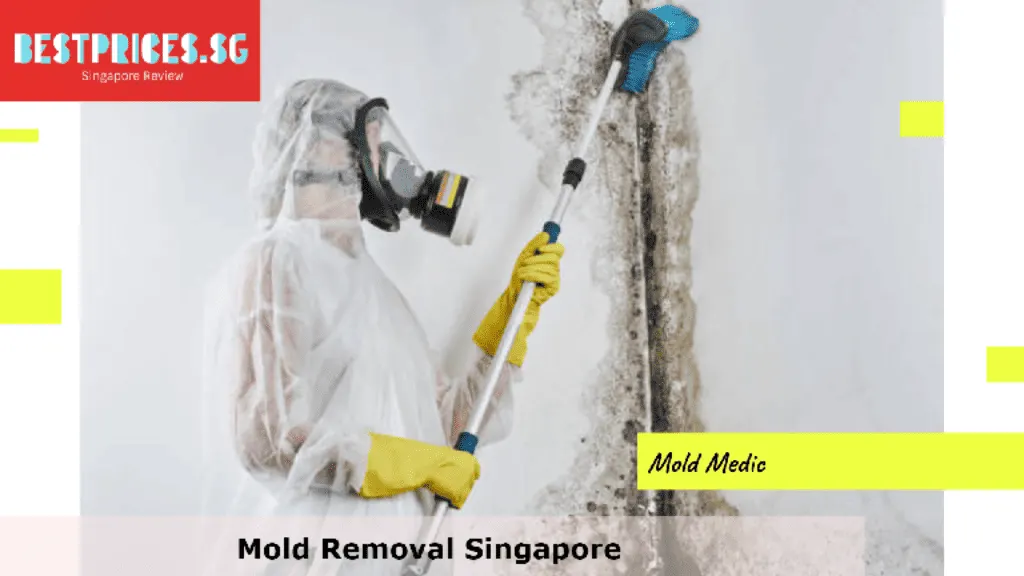 Mold Removal Singapore, Mould Specialist Singapore, Best Home Mold Removal Services Singapore, How do I get rid of mold in my house Singapore?, Can I remove mold myself?, Is it expensive to get rid of mold?, How do you get rid of mold in Singapore HDB?, Mold Removal Services Singapore, mould removal singapore price, Mold removal singapore price, Free mold removal singapore, Mold removal singapore cost, mould removal products, mould removal service, Mold removal singapore reddit, Mold removal singapore review, Can you remove mold by yourself?,