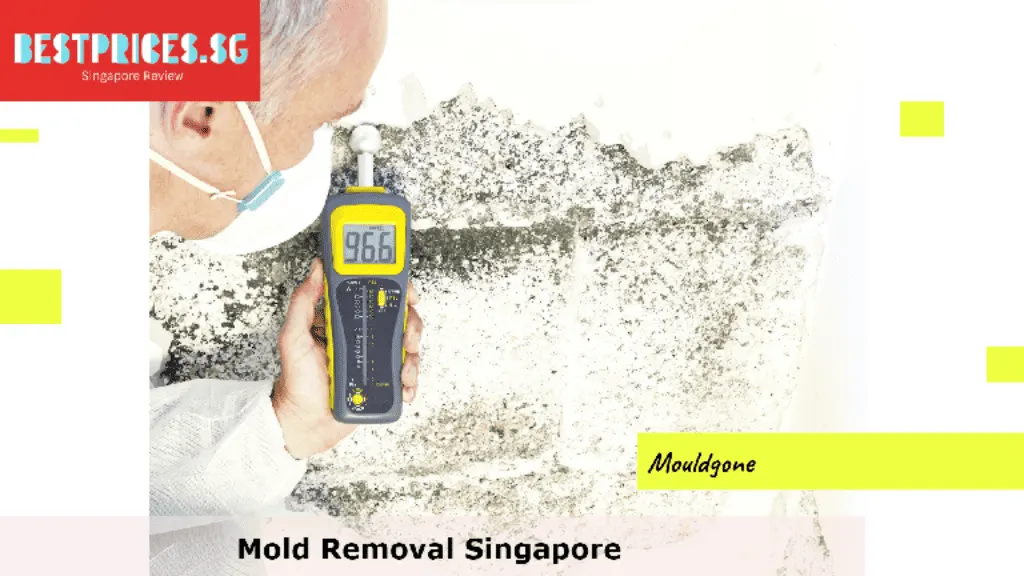 Mold Removal Singapore, Mould Specialist Singapore, Best Home Mold Removal Services Singapore, How do I get rid of mold in my house Singapore?, Can I remove mold myself?, Is it expensive to get rid of mold?, How do you get rid of mold in Singapore HDB?, Mold Removal Services Singapore, mould removal singapore price, Mold removal singapore price, Free mold removal singapore, Mold removal singapore cost, mould removal products, mould removal service, Mold removal singapore reddit, Mold removal singapore review, Can you remove mold by yourself?,