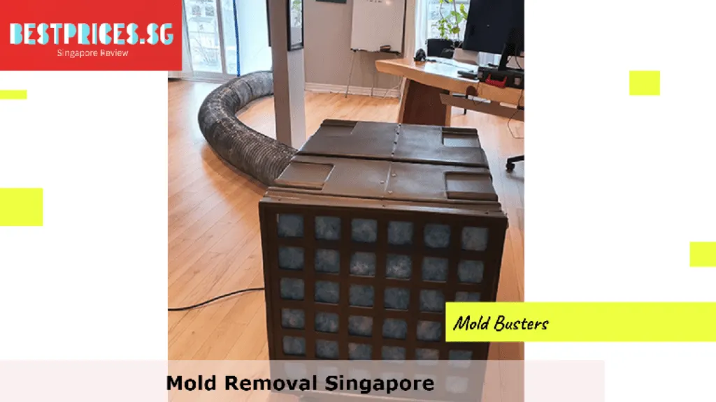 Mold Removal Singapore, Mould Specialist Singapore, Best Home Mold Removal Services Singapore, How do I get rid of mold in my house Singapore?, Can I remove mold myself?, Is it expensive to get rid of mold?, How do you get rid of mold in Singapore HDB?, Mold Removal Services Singapore, mould removal singapore price, Mold removal singapore price, Free mold removal singapore, Mold removal singapore cost, mould removal products, mould removal service, Mold removal singapore reddit, Mold removal singapore review, Can you remove mold by yourself?,