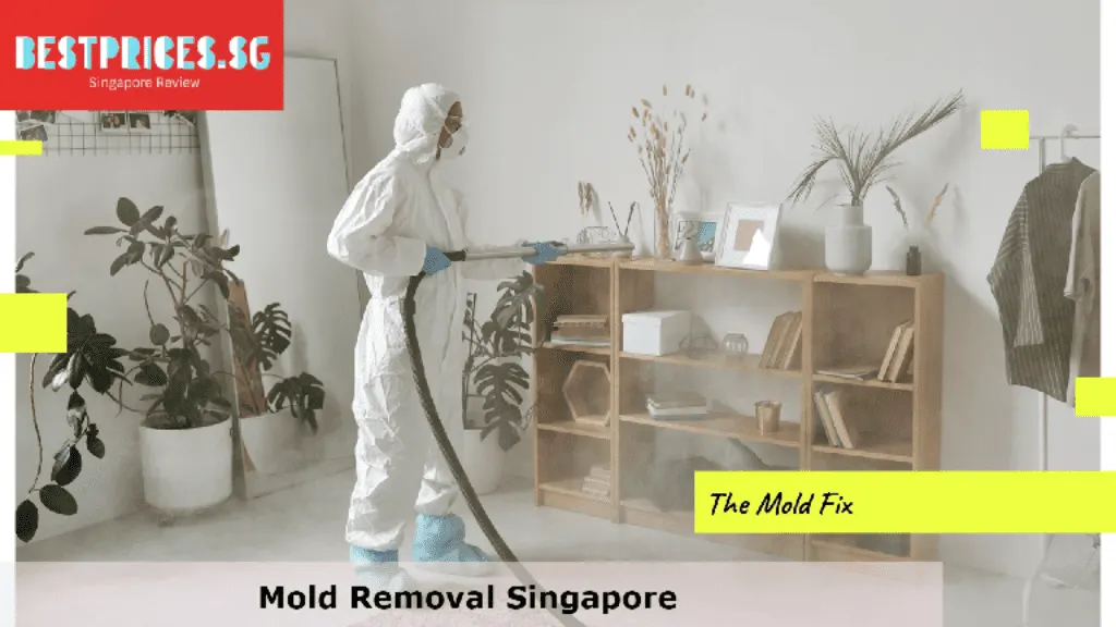 Mold Removal Singapore, Mould Specialist Singapore, Best Home Mold Removal Services Singapore, How do I get rid of mold in my house Singapore?, Can I remove mold myself?, Is it expensive to get rid of mold?, How do you get rid of mold in Singapore HDB?, Mold Removal Services Singapore, mould removal singapore price, Mold removal singapore price, Free mold removal singapore, Mold removal singapore cost, mould removal products, mould removal service, Mold removal singapore reddit, Mold removal singapore review, Can you remove mold by yourself?,