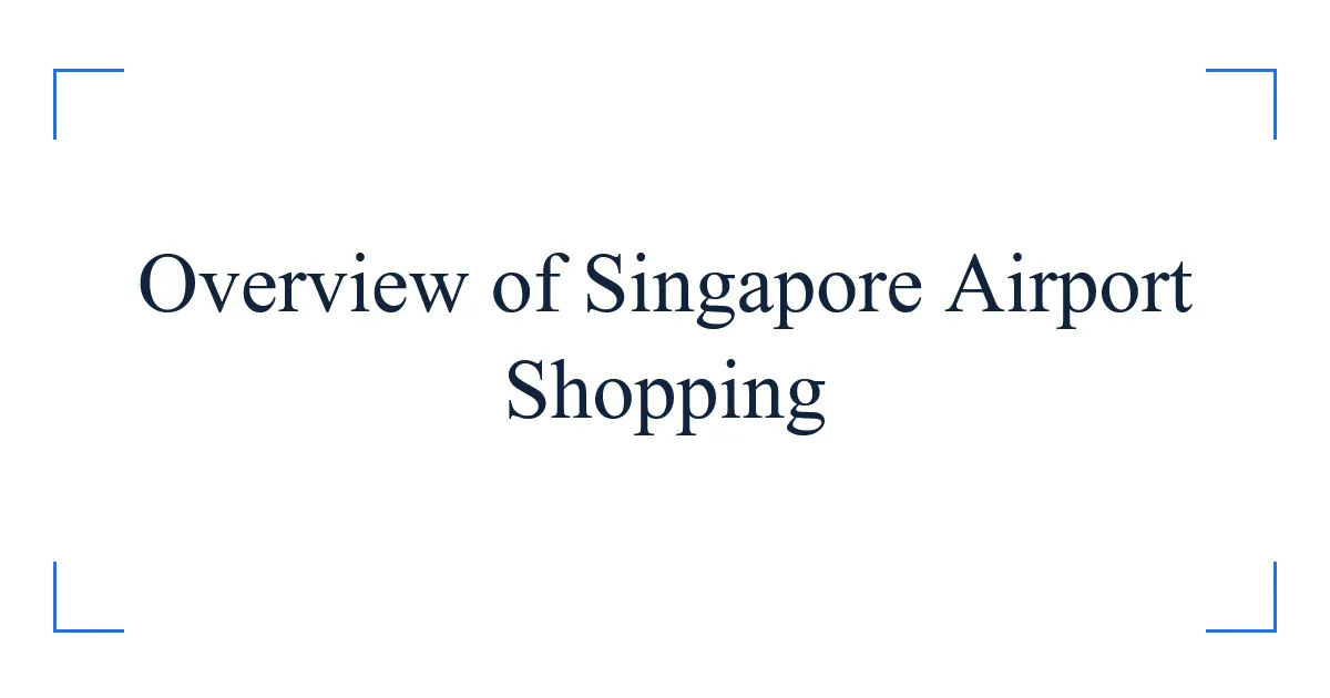 Overview of Singapore Airport Shopping