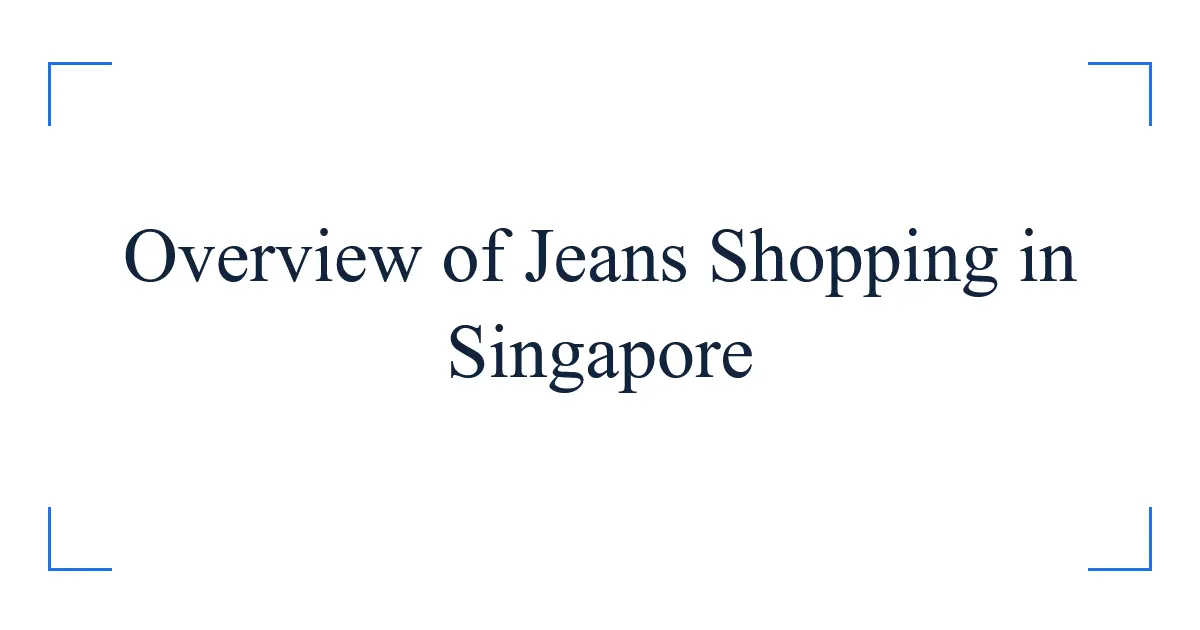 Overview of Jeans Shopping in Singapore