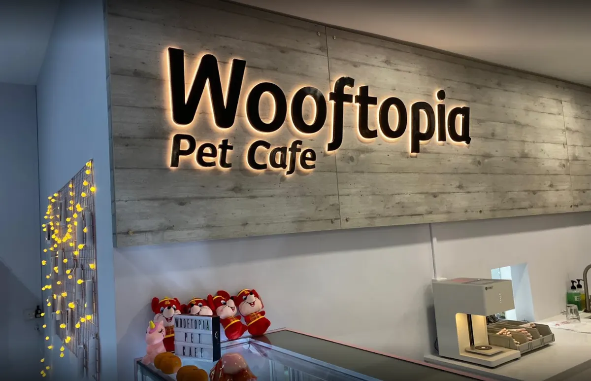 Wooftopia Pet Café is 10 pet-friendly cafes and restaurants to enjoy a meal out with family and pet, 10 Best Dog Cafes In Singapore, Where can I take my dog in Singapore?, Can you go to a dog cafe without a dog?, Can I take my dog to a coffee shop?, Dog cafe Singapore price, 10 Best Dog Cafe in Singapore for a Pawsome Time, 10 Best Dog-Friendly Cafes and Restaurants in Singapore, Are dog cafes a thing?,Are pet cafes cruel?,How does a dog cafe Work?, Are pet cafes cruel?,Can I take my dog to a coffee shop?,Do puppy cafes exist in Singapore?, Dog cafe Singapore with resident dogs,